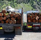 کشف ۶ تن چوب قاچاق در آستانه‌اشرفیه