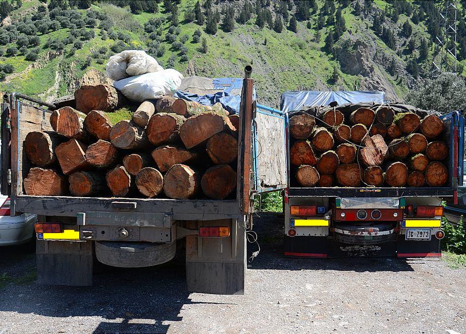 کشف بیش از ۱۵ تن چوب قاچاق در آستانه‌اشرفیه