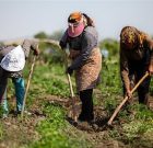 راه‌اندازی ۵ صندوق اعتبارات خرد زنان روستایی و عشایری در آستانه‌اشرفیه