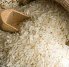 افزایش هزینه تولید برنج در سال جاری