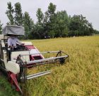 راتون راهکاری برای جبران افزایش قیمت تمام شده تولید برنج