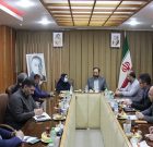 استاد محمد معین ارزش افزوده فرهنگ و هنر است