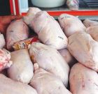 توزیع گوشت منجمد، شکر و برنج خارجی در گیلان