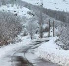 استان گیلان سفیدپوش می‌شود