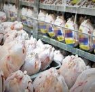 آغاز ذخیره‌سازی مرغ شب عید در گیلان/روزانه ۶۵۰ تن مرغ گرم در گیلان روانه بازار می‌شود