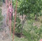 آزادسازی ۱۵ هکتار از اراضی سفیدرود