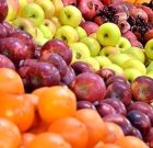 تامین ۴۰۰ تن میوه بازار شب عید در گیلان